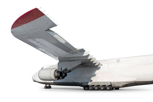 istock Wide body transport cargo aircraft isolated on white background 2138293739