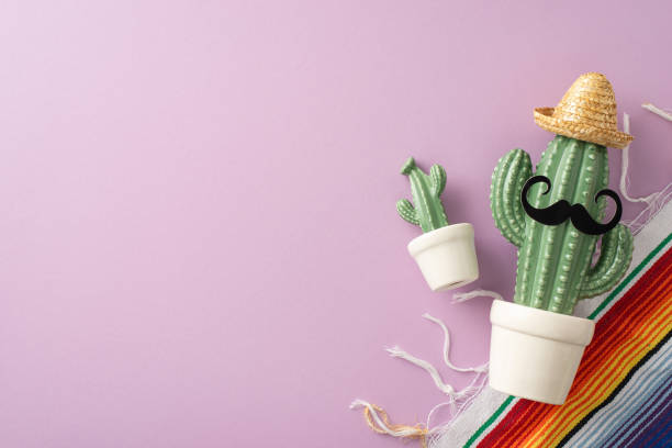 istock Cinco de Mayo scene. View from top capturing festive essentials: cactus with mustaches in sombrero and striped serape against a pastel purple background, with empty area for text 2138301205