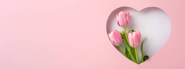 Mother's Day gratitude motif. Top view perspective featuring vibrant tulips, framed by a silhouette of heart on pastel pink background, suitable for expressing appreciation or marketing special offers