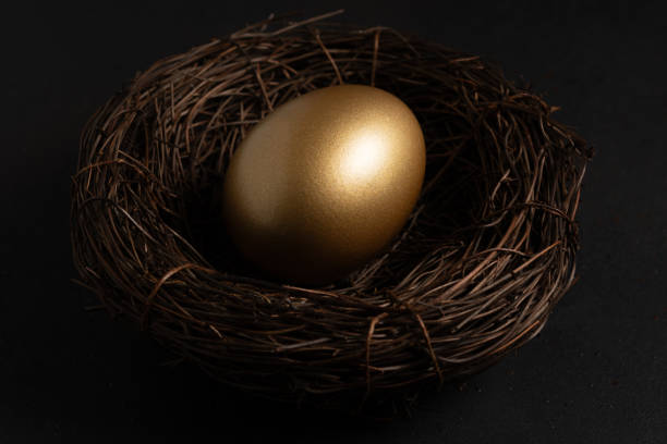 istock Gold egg in nest on dark background. Easter concept. 2138318740