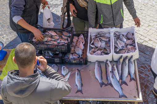 Fishermen sell fresh fish at the daily fishmarket in Anzio