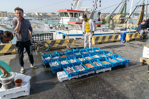 Fishermen are selling freshly caught fish at the port of Anzio