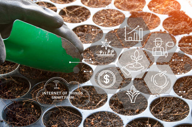 istock The concept of using AI and smart farming. 2138381010