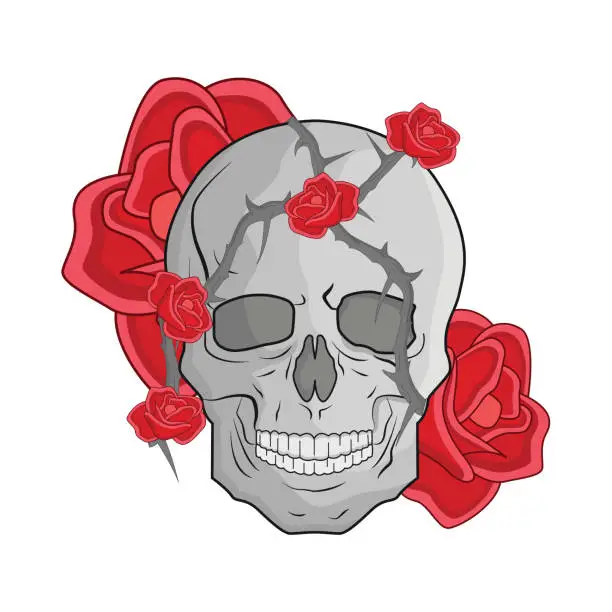 Vector illustration of skull rose