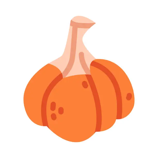 Vector illustration of Pumpkin as Autumn Harvest Agricultural Crop Vector Illustration