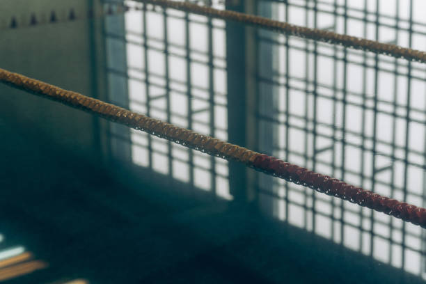 istock Olympic Swimming pool . swimming pool with reflection on water 2138423389