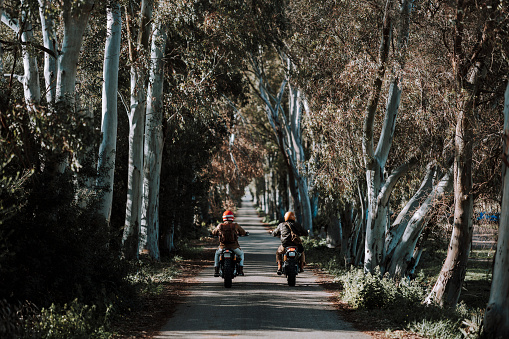 Two individuals riding motorcycles on a forest road