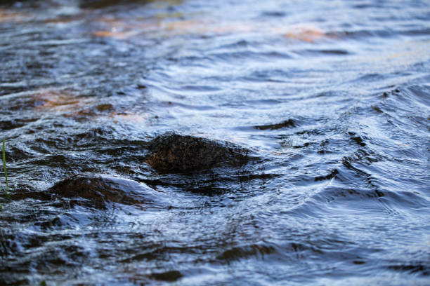 istock Spring background Stream of water in the forest 2138445725