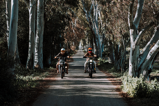 Two bikers speeding along a road flanked by trees