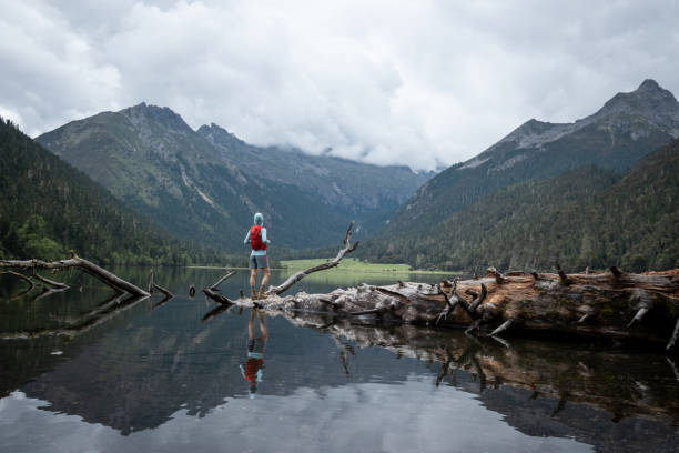 istock Woman hiker hiking in forest 2138483299