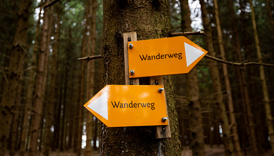 Wanderweg or a trail in the forest