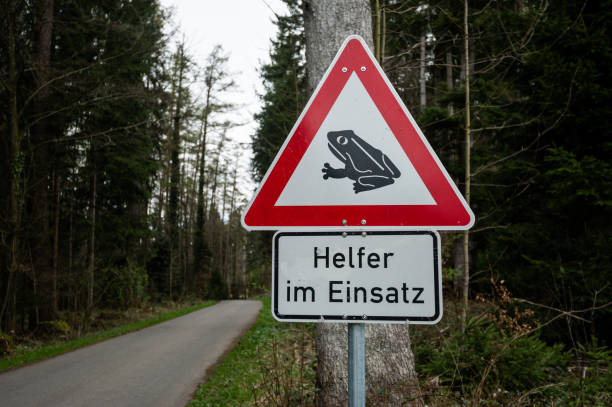 istock German is the sign of a frog 
