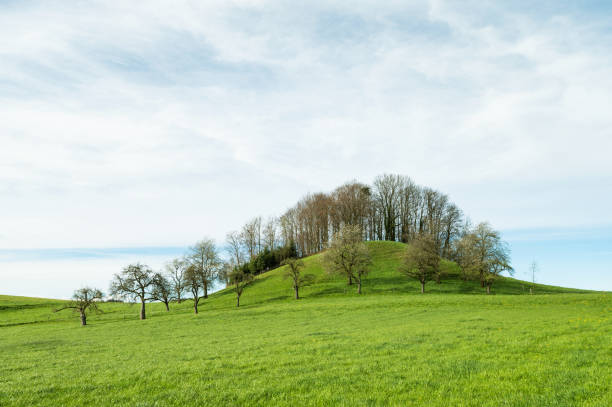 istock Bavaria hill meadow landscape 2138502902
