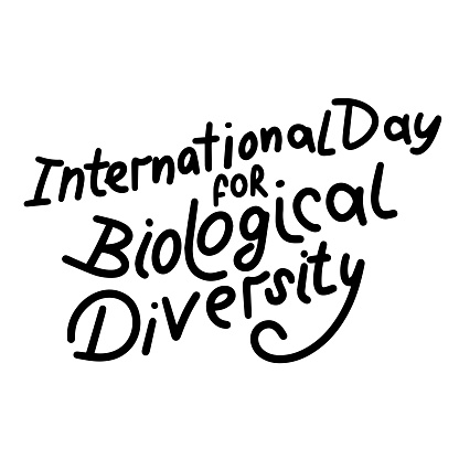 International Day for Biological Diversity text banner. Hand drawn vector art.