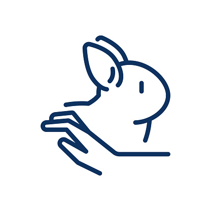 Contact Pet Zoo Icon. Simple Line Illustration of a Rabbit, Symbolizing Animal Interaction, Learning, and Family-Friendly Activities in Interactive Domestic Zoo.