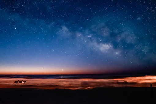 Beach Deer Under Milky Way Galaxy