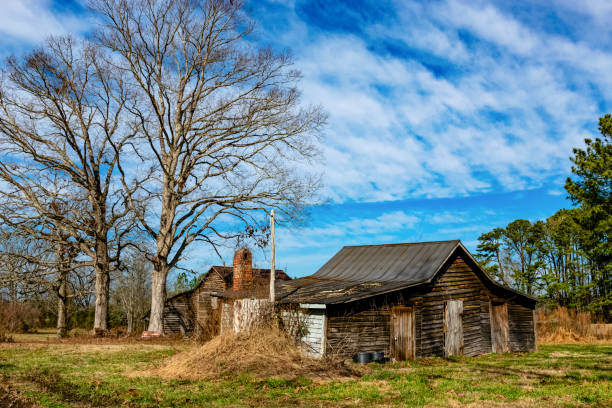 istock Tobacco Barn Ruins 2138548776