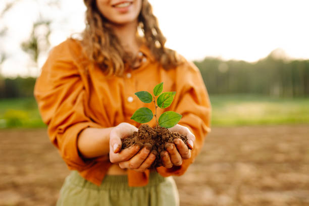 istock Human hands holding green plant 2138551441