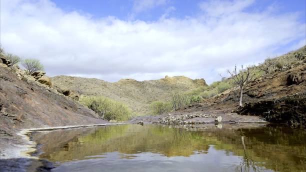 as margens do córrego se refletem na água parada com um céu nublado e uma montanha estéril ao fundo - global warming drought riverbank dirt - fotografias e filmes do acervo