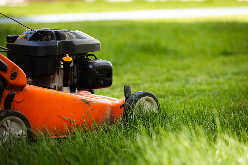 Lawn mower is standing on the grass.