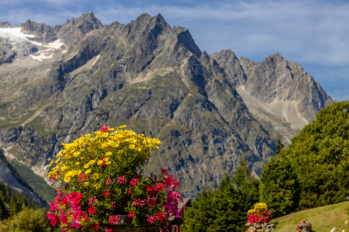 Tour du Montblanc beautiful mountain peaks and green valley. TMB trekking route scenic landscape in italian, swiss and french Alps in Courmayour, Aosta valley  Val Ferret alpine scene