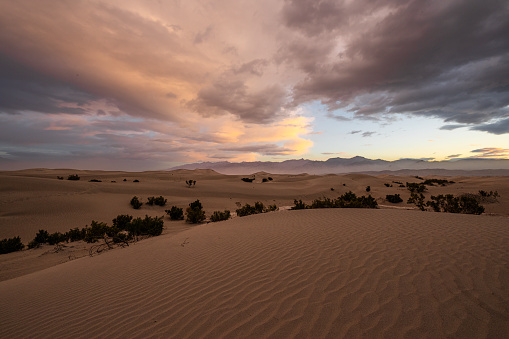 These are the Mesquite Flat Sand Dunes