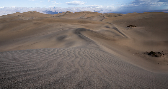 Turanian Desert, Balkh province, Afghanistan: sand dunes shaped by the central asian winds - deserts of Turan - barren landscape of the Turan lowland. Cold desert climate area. Badghyz and Karabil semi-desert ecoregion.