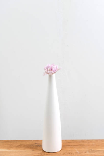 istock lila Tulip in Vase 2138599782
