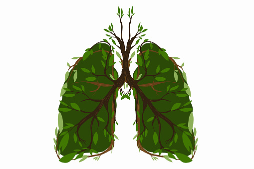 Foliage and branches in the shape of lungs, dedicated to celebrating Arbor day