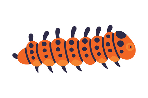 Bright Caterpillar as Larval Stage of Insect Crawling and Creeping Vector Illustration. Small Insect Species with Long Colorful Body