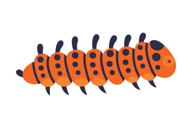 Vector illustration of Bright Caterpillar as Larval Stage of Insect Crawling and Creeping Vector Illustration