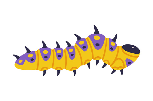 Yellow Caterpillar as Larval Stage of Insect Crawling and Creeping Vector Illustration. Small Insect Species with Long Colorful Body