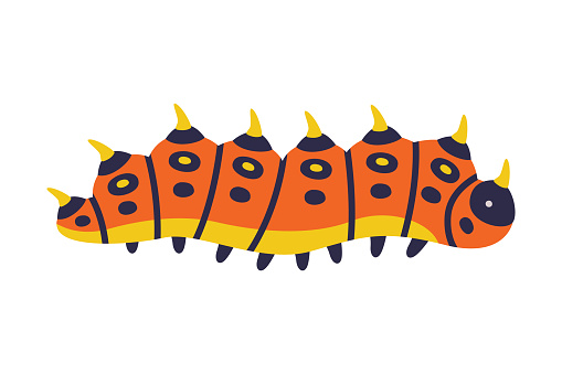 Red Caterpillar as Larval Stage of Insect Crawling and Creeping Vector Illustration. Small Insect Species with Long Colorful Body