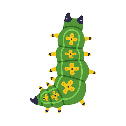 Bright Green Caterpillar as Larval Stage of Insect Crawling and Creeping Vector Illustration. Small Insect Species with Long Colorful Body