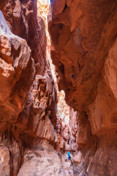 istock Amazing Wadi Rum desert, Jordan, Middle East 2138634023