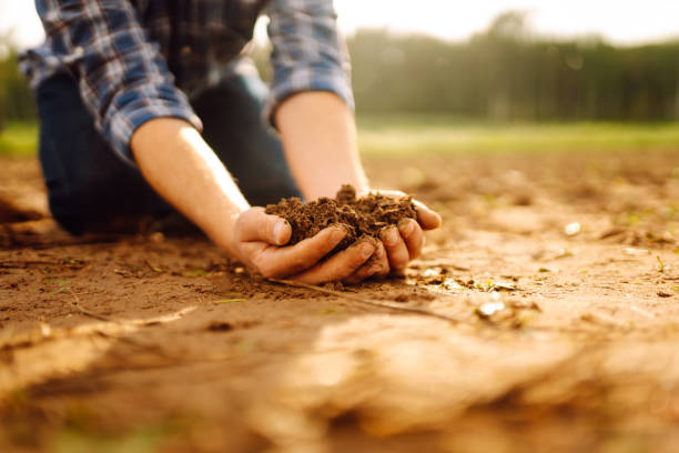istock Soil in the hands of a farmer. 2138661309