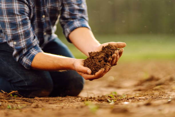 istock Soil in the hands of a farmer. 2138661312