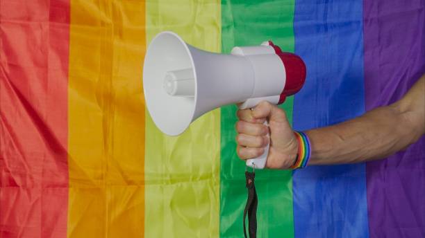 istock Hand holds megaphone in front of rainbow flag. LGBT rights concept 2138670707