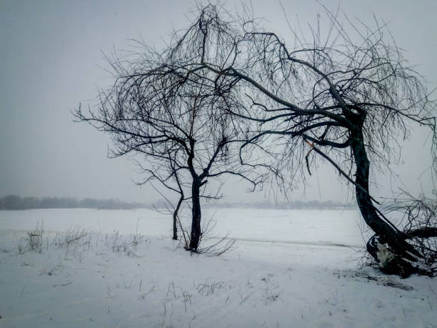 Various landscapes made in the vicinity of the city of Kyiv. Ukraine. Different seasons and different moods by lighting. Winter, spring, summer, fall. Sunsets and dawns. Bay of the Dnieper River