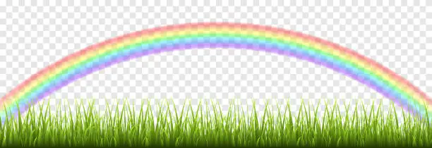 Vector illustration of Vector young green grass. Young grass, lawn. Grass with a rainbow. Grass borders.