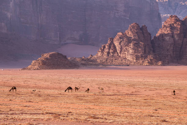 istock Amazing Wadi Rum desert, Jordan, Middle East 2138686456