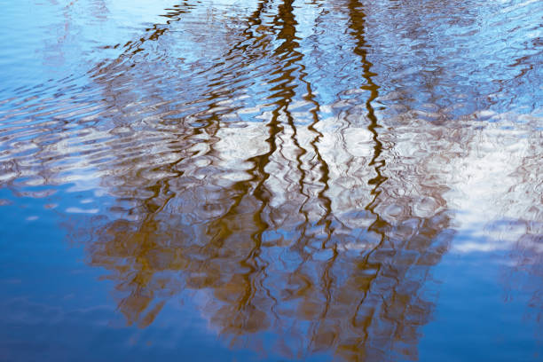 mesmerizing scene lake or pond with wavy reflections tree branches in rippling water, blue sky creates sense tranquility and peace, while ripples add touch movement and dynamism, tranquil