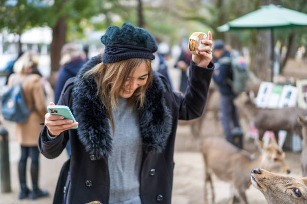 istock Woman having fun feeding dear at Nara Park 2138702130