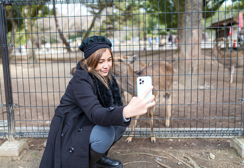 Tourist woman having fun feeding and selfie with dear at Nara Park