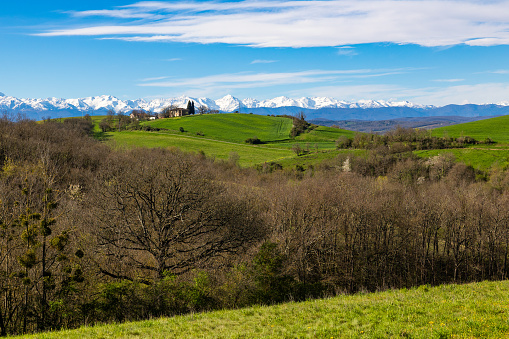 View of the snowy Pyrenees mountains from Rieux-Volvestre