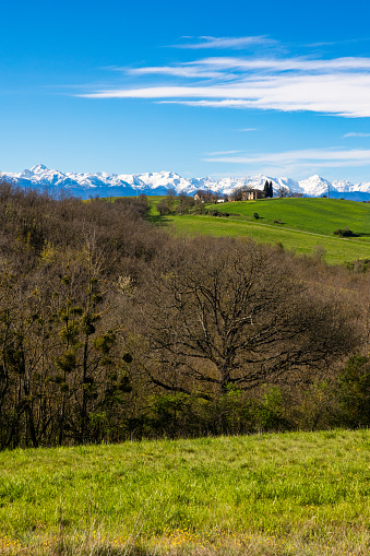 View of the snowy Pyrenees mountains from Rieux-Volvestre