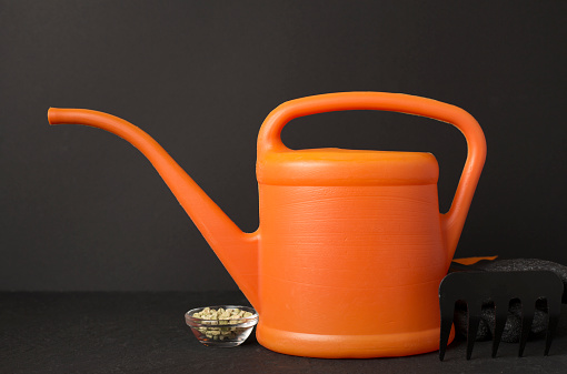 Watering can and gardening tools on concrete background