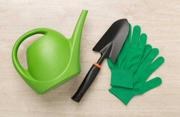 istock Green gardening tools on wooden background, top view 2138756245