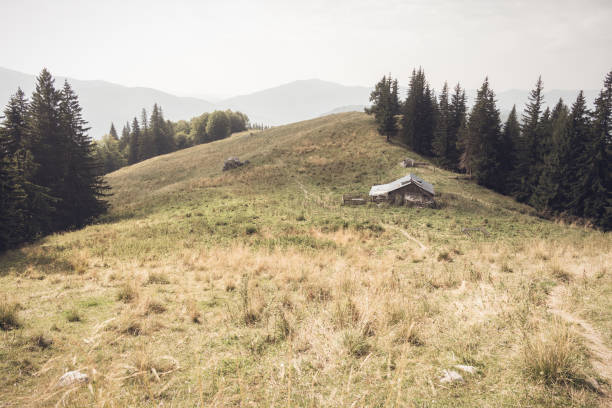 Abandoned sheepfold on the way to Ciucas peak in Carpathian Mountains, Romania.