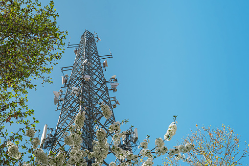 Telecommunication tower with blooming branches. A clear blue sky background with a focus on a telecommunication tower, embellished with white blooming branches in the foreground.